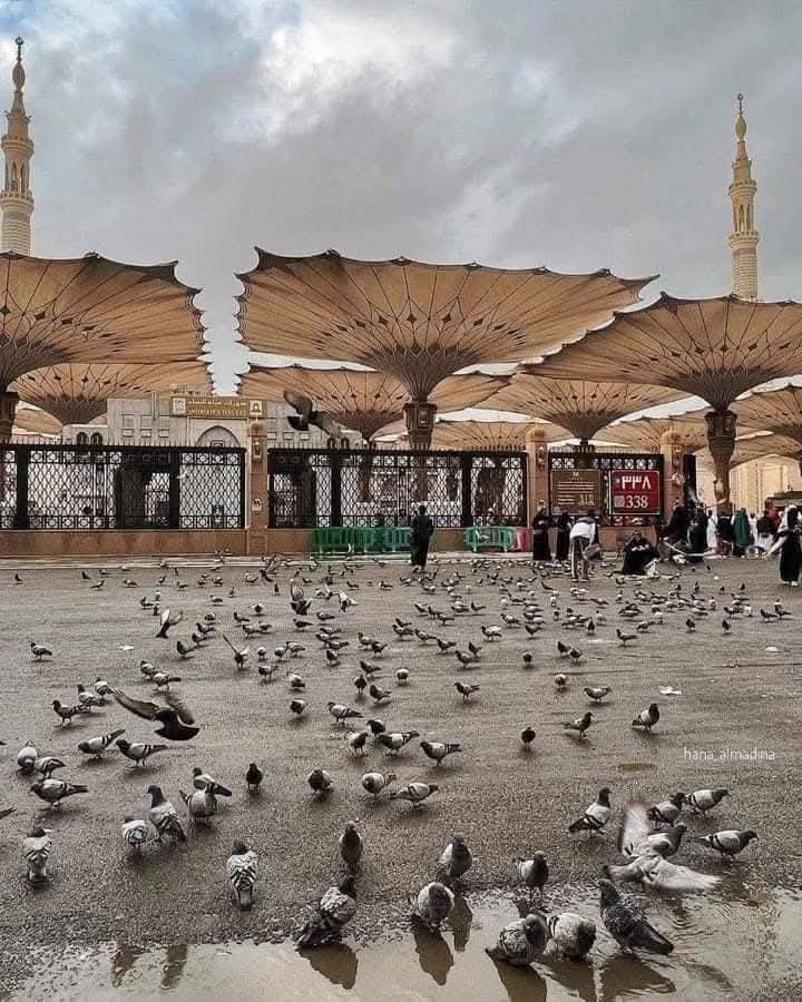 عمرة شهر يناير وفبراير 2025 شاملة